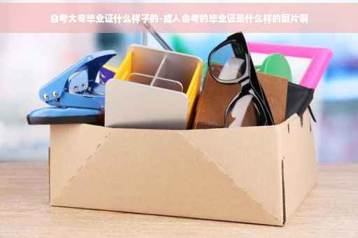 自考大专毕业证什么样子的-成人自考的毕业证是什么样的图片啊
