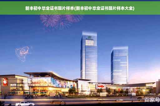 新丰初中毕业证书图片样本(新丰初中毕业证书图片样本大全)