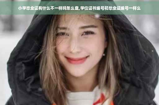 小学毕业证有什么不一样吗怎么查,学位证书编号和毕业证编号一样么