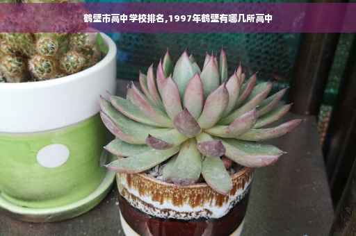 鹤壁市高中学校排名,1997年鹤壁有哪几所高中