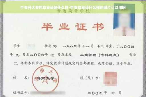 中专升大专的毕业证是什么样-中专毕业证什么样的图片可以用啊
