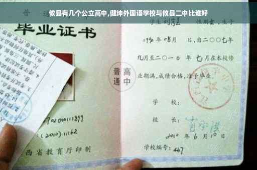 攸县有几个公立高中,健坤外国语学校与攸县二中比谁好