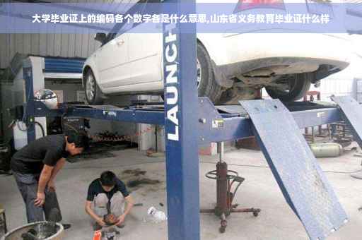 大学毕业证上的编码各个数字各是什么意思,山东省义务教育毕业证什么样