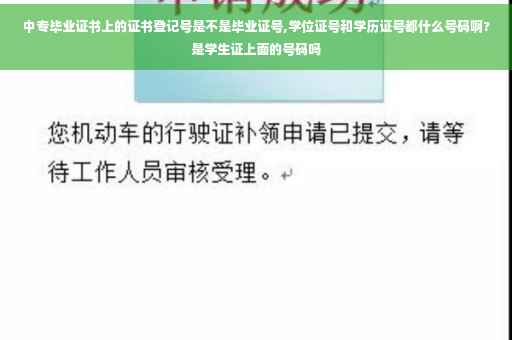 中专毕业证书上的证书登记号是不是毕业证号,学位证号和学历证号都什么号码啊?是学生证上面的号码吗