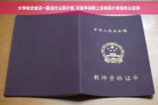 大学生毕业证一般是什么照片啊,可是学信网上没有照片着是怎么回事