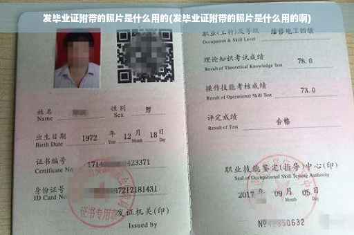 发毕业证附带的照片是什么用的(发毕业证附带的照片是什么用的啊)