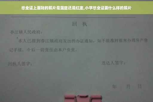 毕业证上面贴的照片是蓝底还是红底,小学毕业证要什么样的照片