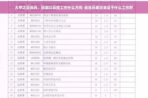 大学之后当兵，回来以后找工作什么方向-去当兵要毕业证干什么工作好