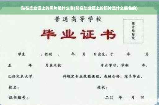 贴在毕业证上的照片是什么底(贴在毕业证上的照片是什么底色的)