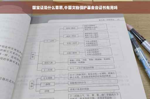 国宝证是什么意思,中国文物保护基金会证书有用吗
