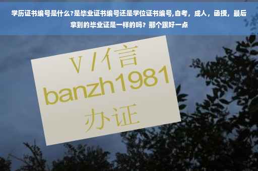 学历证书编号是什么?是毕业证书编号还是学位证书编号,自考，成人，函授，最后拿到的毕业证是一样的吗？那个跟好一点