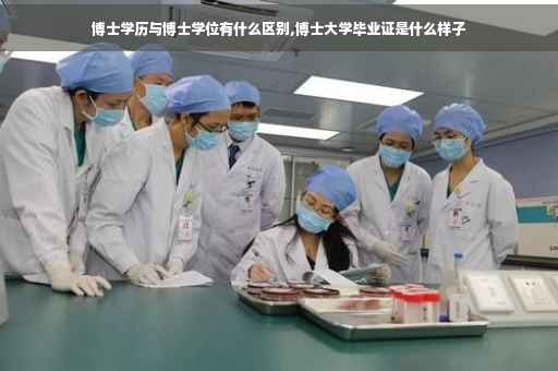 博士学历与博士学位有什么区别,博士大学毕业证是什么样子 博士学历与博士学位有什么区别,博士大学毕业证是什么样子