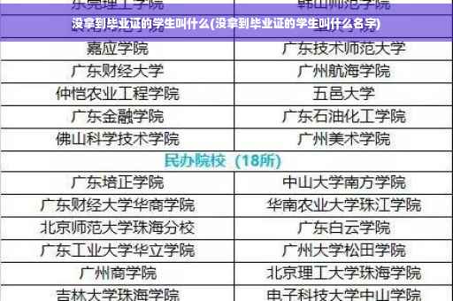 没拿到毕业证的学生叫什么(没拿到毕业证的学生叫什么名字)
