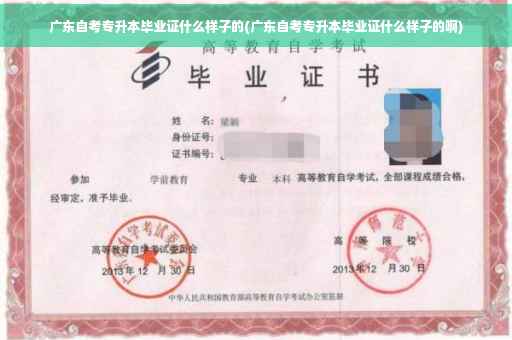 广东自考专升本毕业证什么样子的(广东自考专升本毕业证什么样子的啊)