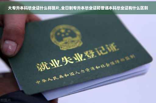 大专升本科毕业证什么样图片,全日制专升本毕业证和普通本科毕业证有什么区别