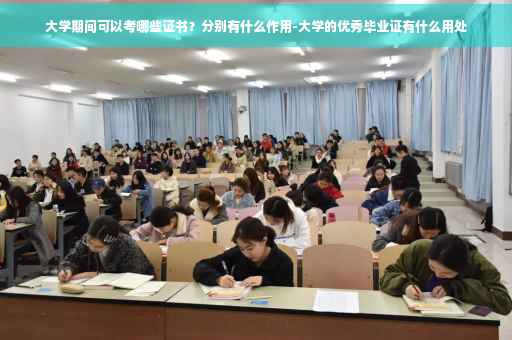 大学期间可以考哪些证书？分别有什么作用-大学的优秀毕业证有什么用处