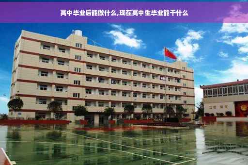 高中毕业后能做什么,现在高中生毕业能干什么