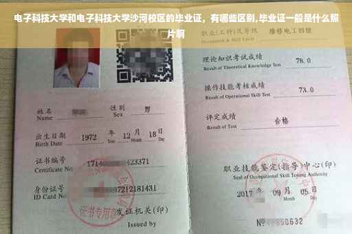 电子科技大学和电子科技大学沙河校区的毕业证，有哪些区别,毕业证一般是什么照片啊