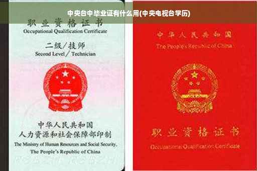 中央台中毕业证有什么用(中央电视台学历)