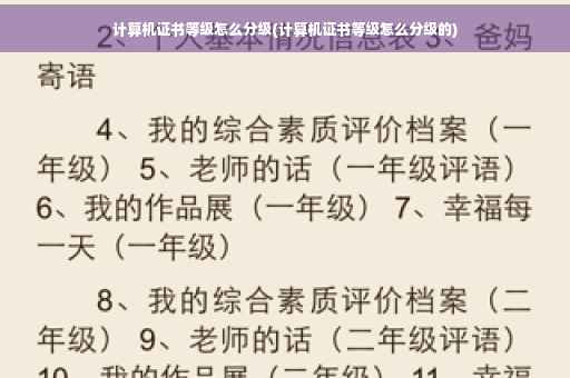 计算机证书等级怎么分级(计算机证书等级怎么分级的)