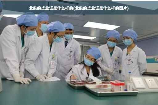 北航的毕业证是什么样的(北航的毕业证是什么样的图片)
