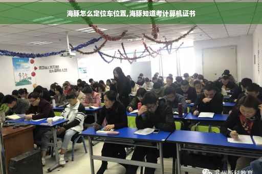 海豚怎么定位车位置,海豚知道考计算机证书