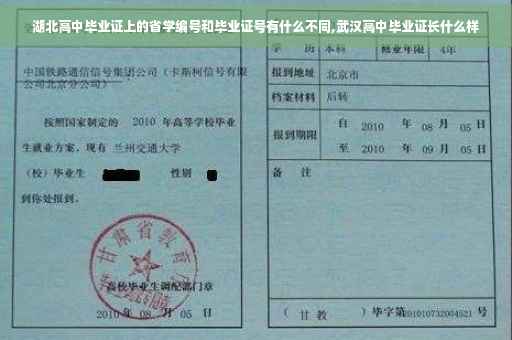 湖北高中毕业证上的省学编号和毕业证号有什么不同,武汉高中毕业证长什么样