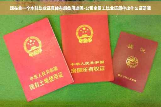 现在拿一个本科毕业证具体有哪些用途呢-公司拿员工毕业证原件出什么证明呢