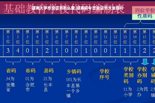 湖南大学毕业证书怎么查,湖南初中毕业证书大全图片