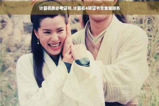 计算机类必考证书,计算机4级证书含金量排名
