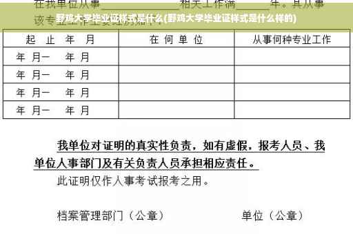 野鸡大学毕业证样式是什么(野鸡大学毕业证样式是什么样的)