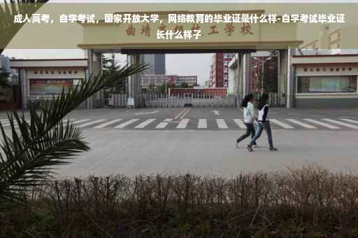 成人高考，自学考试，国家开放大学，网络教育的毕业证是什么样-自学考试毕业证长什么样子