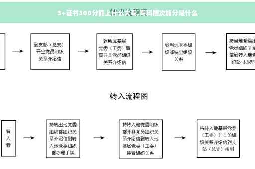 3+证书300分能上什么大专,专科层次加分是什么