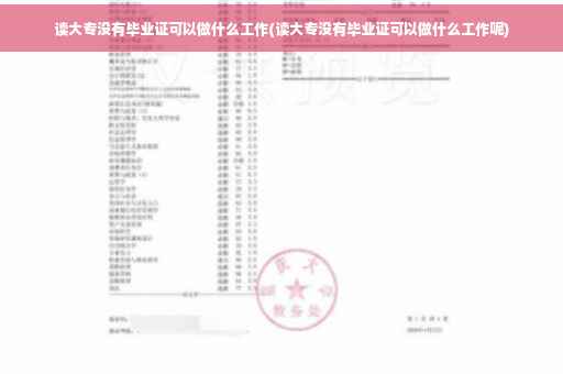 读大专没有毕业证可以做什么工作(读大专没有毕业证可以做什么工作呢)