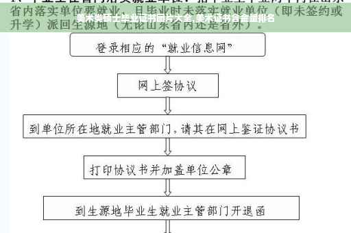 美术类硕士毕业证书图片大全,美术证书含金量排名