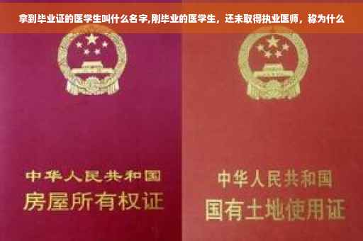 拿到毕业证的医学生叫什么名字,刚毕业的医学生，还未取得执业医师，称为什么