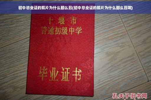 初中毕业证的照片为什么那么丑(初中毕业证的照片为什么那么丑呢)