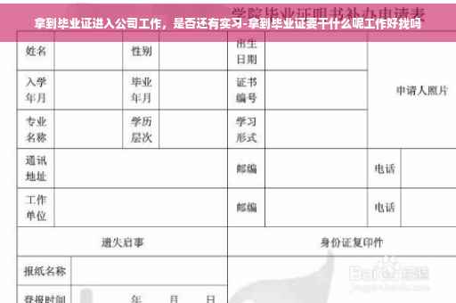 拿到毕业证进入公司工作，是否还有实习-拿到毕业证要干什么呢工作好找吗