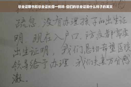 毕业证明书和毕业证长得一样吗-你们的毕业证是什么样子的英文