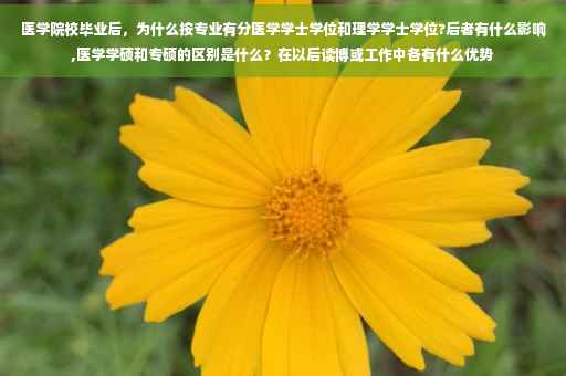 医学院校毕业后，为什么按专业有分医学学士学位和理学学士学位?后者有什么影响,医学学硕和专硕的区别是什么？在以后读博或工作中各有什么优势