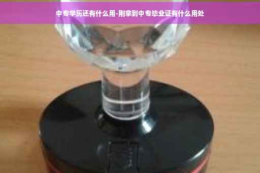 中专学历还有什么用-刚拿到中专毕业证有什么用处