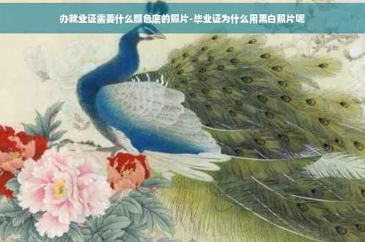 办就业证需要什么颜色底的照片-毕业证为什么用黑白照片呢