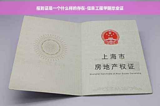 报到证是一个什么样的存在-信息工程学院毕业证