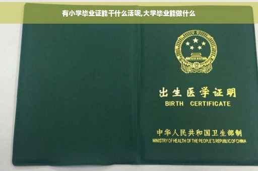 有小学毕业证能干什么活呢,大学毕业能做什么