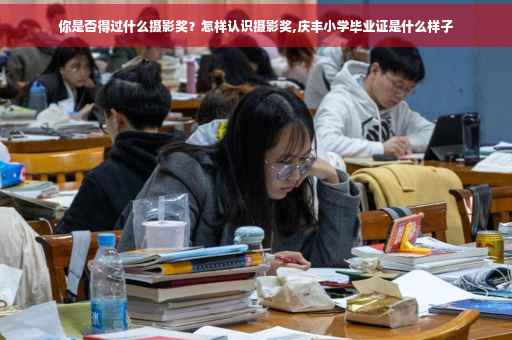 你是否得过什么摄影奖？怎样认识摄影奖,庆丰小学毕业证是什么样子