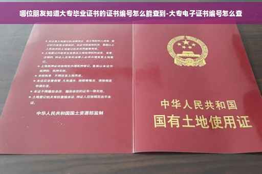 哪位朋友知道大专毕业证书的证书编号怎么能查到-大专电子证书编号怎么查 哪位朋友知道大专毕业证书的证书编号怎么能查到-大专电子证书编号怎么查