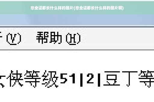 毕业证都长什么样的图片(毕业证都长什么样的图片啊)