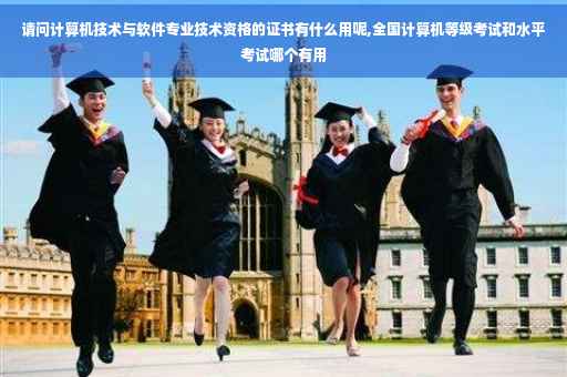 请问计算机技术与软件专业技术资格的证书有什么用呢,全国计算机等级考试和水平考试哪个有用