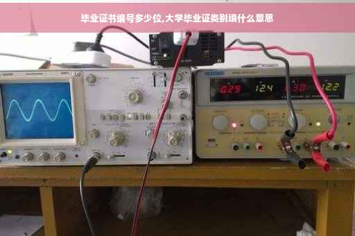 毕业证书编号多少位,大学毕业证类别填什么意思