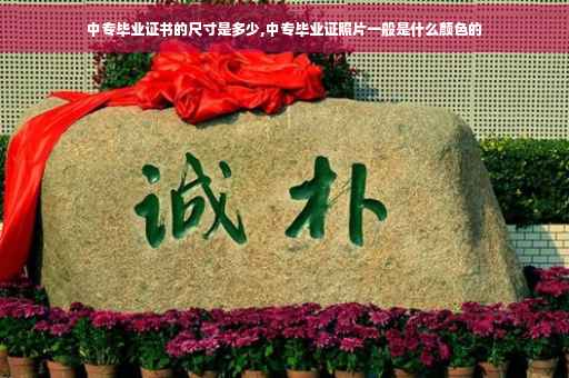 中专毕业证书的尺寸是多少,中专毕业证照片一般是什么颜色的